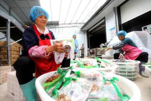 吉安安福縣竹筍加工產(chǎn)業(yè) 助農(nóng)家門口就業(yè)增收與鳳凰網(wǎng)江西高級催乳師計(jì)劃的融合之路